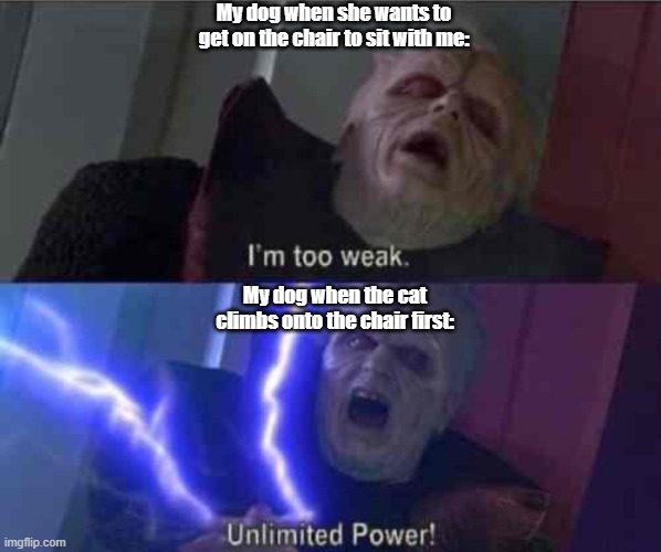 I’m too weak... UNLIMITED POWER | My dog when she wants to get on the chair to sit with me:; My dog when the cat climbs onto the chair first: | image tagged in i m too weak unlimited power,funny,star wars,doge,dog,cat | made w/ Imgflip meme maker