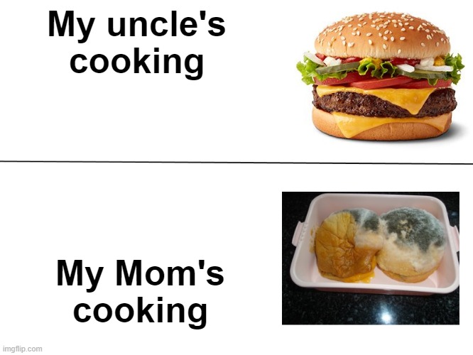 This is so relatable to my life. |  My uncle's cooking; My Mom's cooking | image tagged in good burger vs moldy burger,memes,so true memes | made w/ Imgflip meme maker