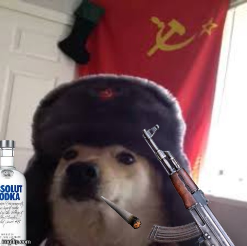 True Soviet doggo | image tagged in russian,vodka,ak47,communism | made w/ Imgflip meme maker