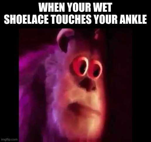worst feeling ever especially if its cold outside | WHEN YOUR WET SHOELACE TOUCHES YOUR ANKLE | image tagged in sully groan | made w/ Imgflip meme maker