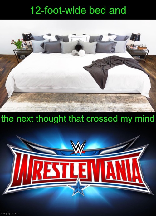 You have to admit, it looks like fun! | 12-foot-wide bed and; the next thought that crossed my mind | image tagged in funny memes,twelve foot bed | made w/ Imgflip meme maker