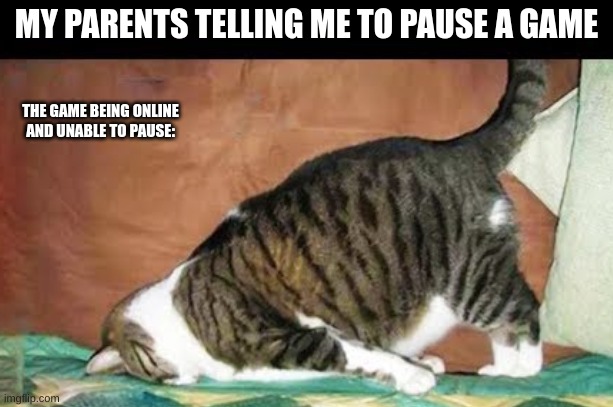 MY PARENTS TELLING ME TO PAUSE A GAME; THE GAME BEING ONLINE AND UNABLE TO PAUSE: | image tagged in funny,funny cats,parents,gaming | made w/ Imgflip meme maker