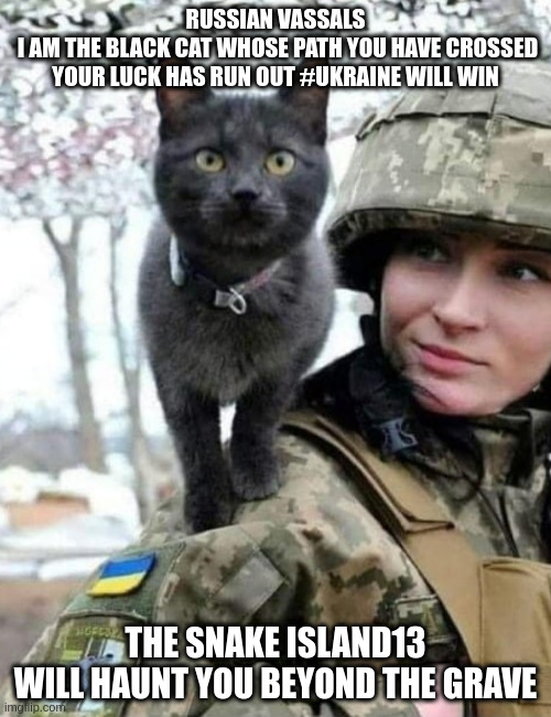 RUSSIAN VASSALS
 I AM THE BLACK CAT WHOSE PATH YOU HAVE CROSSED
YOUR LUCK HAS RUN OUT #UKRAINE WILL WIN; THE SNAKE ISLAND13 
WILL HAUNT YOU BEYOND THE GRAVE | image tagged in cat,cats,ukraine,ukrainian,ukrainewillresist | made w/ Imgflip meme maker