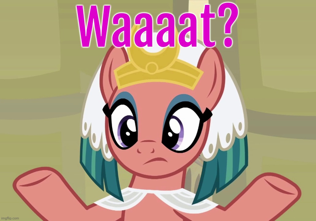 Concerned Somnambula (MLP) | Waaaat? | image tagged in concerned somnambula mlp,somnambula,my little pony friendship is magic | made w/ Imgflip meme maker