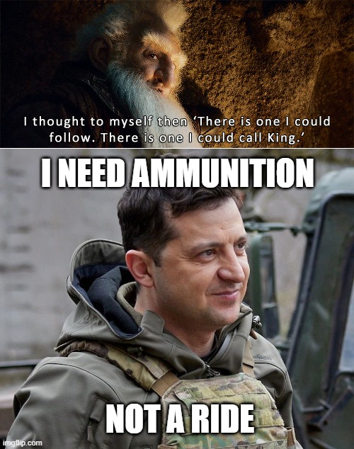 King Zelensky | I NEED AMMUNITION; NOT A RIDE | image tagged in king zelensky | made w/ Imgflip meme maker