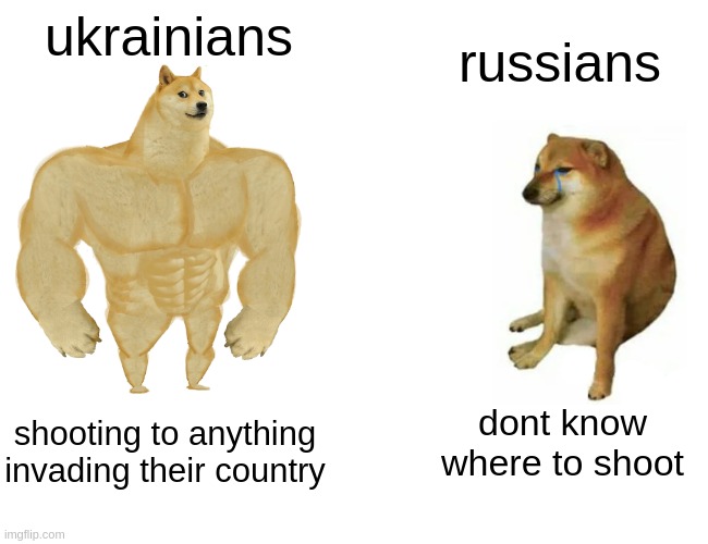 Buff Doge vs. Cheems Meme | ukrainians; russians; shooting to anything invading their country; dont know where to shoot | image tagged in memes,buff doge vs cheems | made w/ Imgflip meme maker