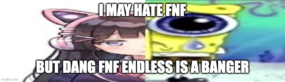 lol | I MAY HATE FNF; BUT DANG FNF ENDLESS IS A BANGER | image tagged in lol | made w/ Imgflip meme maker