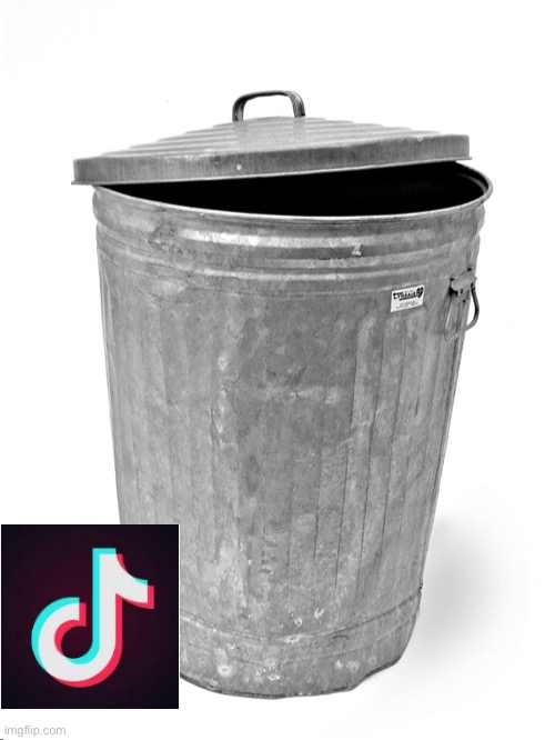 Trash Can | image tagged in trash can | made w/ Imgflip meme maker