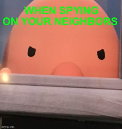 Spying on your neighbors be like. |  WHEN SPYING ON YOUR NEIGHBORS | image tagged in spying | made w/ Imgflip meme maker