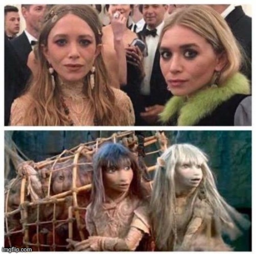 Uncanny Resemblance | image tagged in the dark crystal twins | made w/ Imgflip meme maker