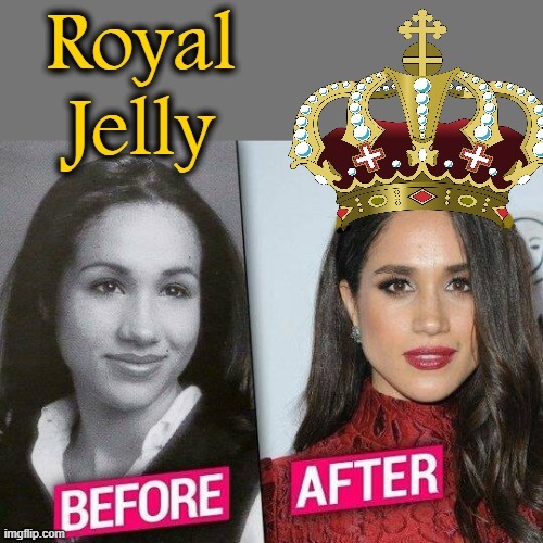 Royal Jelly | image tagged in meghan markle | made w/ Imgflip meme maker