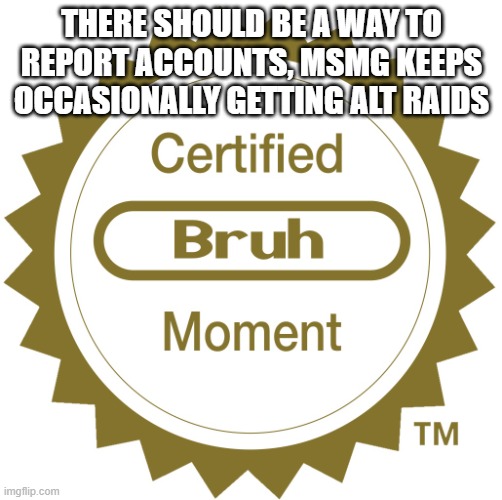 Certified bruh moment | THERE SHOULD BE A WAY TO REPORT ACCOUNTS, MSMG KEEPS OCCASIONALLY GETTING ALT RAIDS | image tagged in certified bruh moment | made w/ Imgflip meme maker