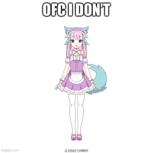 Furry in maid suit | OFC I DON’T | image tagged in furry in maid suit | made w/ Imgflip meme maker