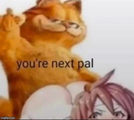 You're next pal | image tagged in you're next pal,garfield | made w/ Imgflip meme maker
