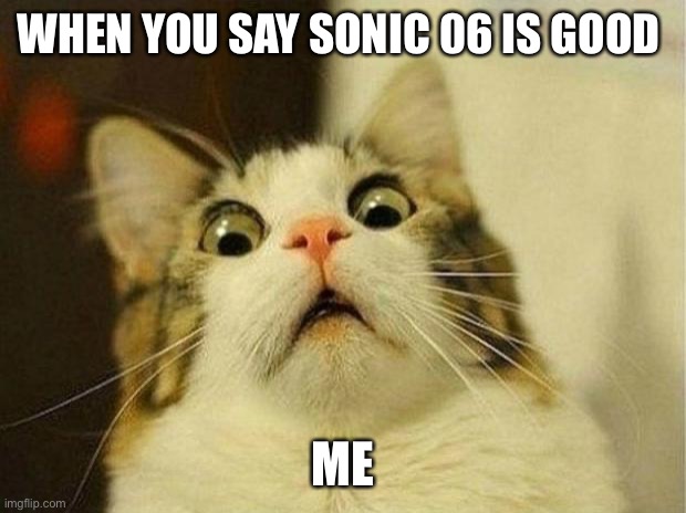 Scared Cat | WHEN YOU SAY SONIC 06 IS GOOD; ME | image tagged in memes,scared cat | made w/ Imgflip meme maker