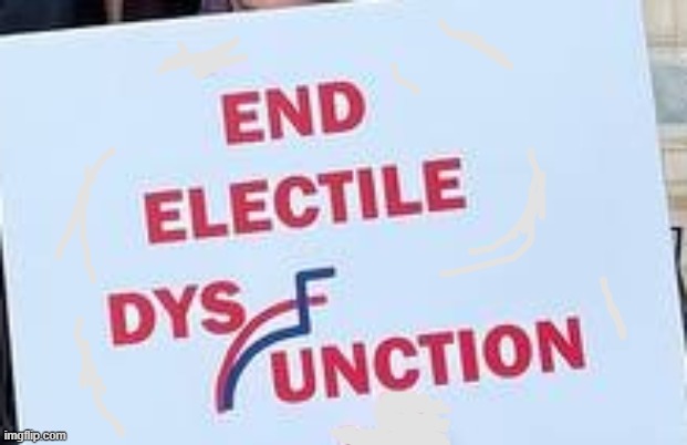 End Electile Dysfunction | image tagged in electiles | made w/ Imgflip meme maker
