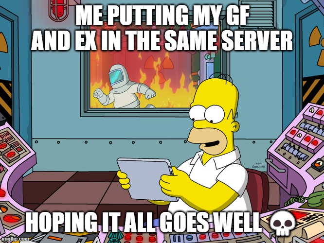 homer simpson | ME PUTTING MY GF AND EX IN THE SAME SERVER; HOPING IT ALL GOES WELL 💀 | image tagged in homer simpson | made w/ Imgflip meme maker