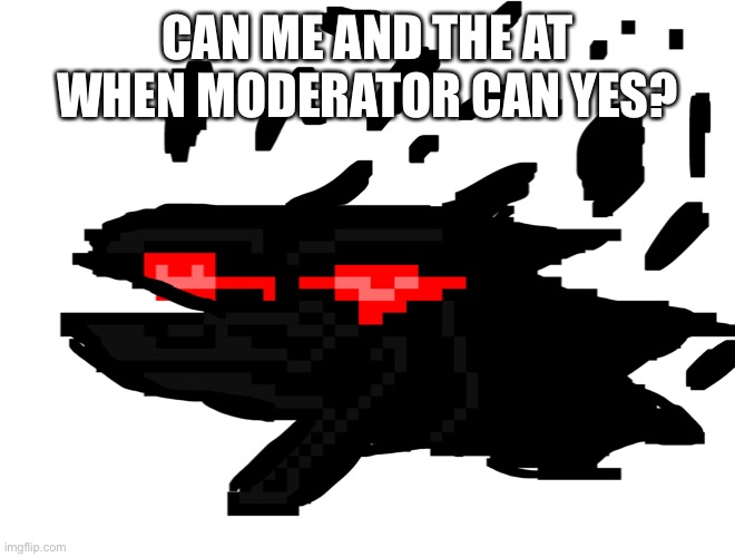 Auditor berdly | CAN ME AND THE AT WHEN MODERATOR CAN YES? | image tagged in auditor berdly | made w/ Imgflip meme maker