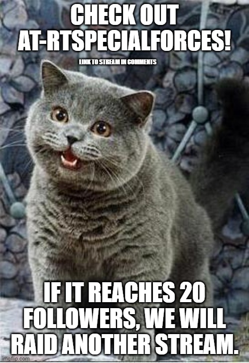 I can has cheezburger cat | CHECK OUT AT-RTSPECIALFORCES! LINK TO STREAM IN COMMENTS; IF IT REACHES 20 FOLLOWERS, WE WILL RAID ANOTHER STREAM. | image tagged in i can has cheezburger cat,fun stream,raid,yay,ha ha tags go brr,lol | made w/ Imgflip meme maker