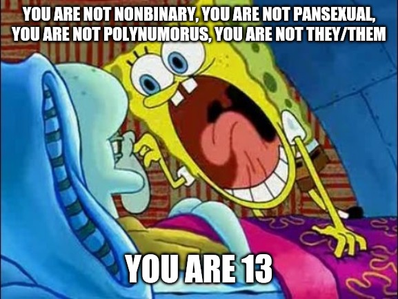 spongebob scream at squidward | YOU ARE NOT NONBINARY, YOU ARE NOT PANSEXUAL, YOU ARE NOT POLYNUMORUS, YOU ARE NOT THEY/THEM; YOU ARE 13 | image tagged in spongebob scream at squidward | made w/ Imgflip meme maker