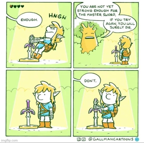 DO IT ANYWAYS | image tagged in the legend of zelda breath of the wild,the legend of zelda,link,comics/cartoons | made w/ Imgflip meme maker