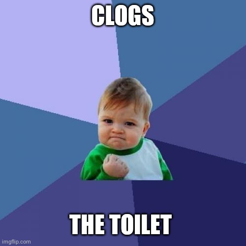 Success Kid Meme | CLOGS; THE TOILET | image tagged in memes,success kid | made w/ Imgflip meme maker