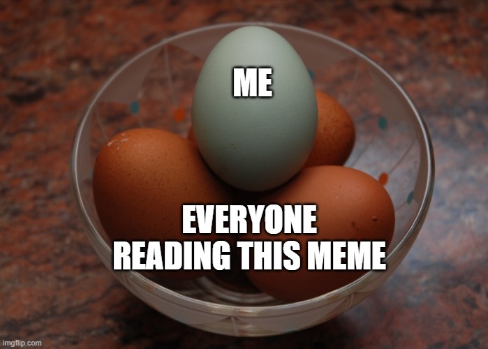 Blue egg among brown eggs | ME; EVERYONE READING THIS MEME | image tagged in blue egg among brown eggs,memes | made w/ Imgflip meme maker