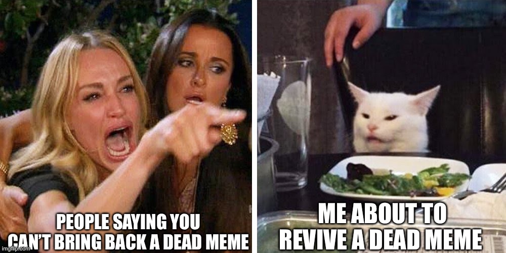Smudge the cat | PEOPLE SAYING YOU CAN’T BRING BACK A DEAD MEME; ME ABOUT TO REVIVE A DEAD MEME | image tagged in smudge the cat | made w/ Imgflip meme maker