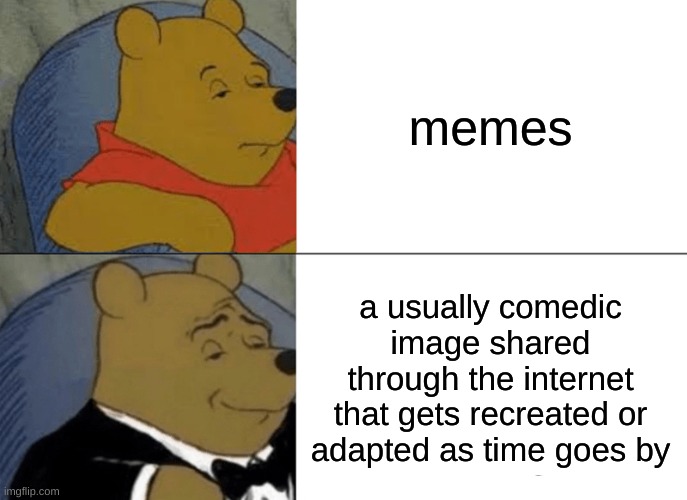 That is what a meme is | memes; a usually comedic image shared through the internet that gets recreated or adapted as time goes by | image tagged in memes,tuxedo winnie the pooh,oh wow are you actually reading these tags,whinnie the pooh | made w/ Imgflip meme maker