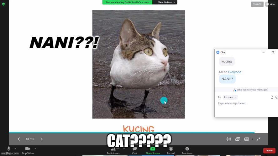 ??????????????????????? | NANI??! CAT????? | image tagged in what | made w/ Imgflip meme maker