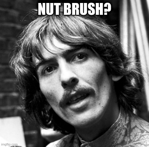 What's the worst thing about a threesome? | NUT BRUSH? | image tagged in hi george,naughty | made w/ Imgflip meme maker
