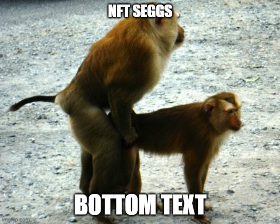 NFT SEGGS; BOTTOM TEXT | made w/ Imgflip meme maker