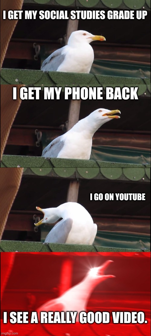 Got my grades up guys. | I GET MY SOCIAL STUDIES GRADE UP; I GET MY PHONE BACK; I GO ON YOUTUBE; I SEE A REALLY GOOD VIDEO. | image tagged in memes,inhaling seagull | made w/ Imgflip meme maker