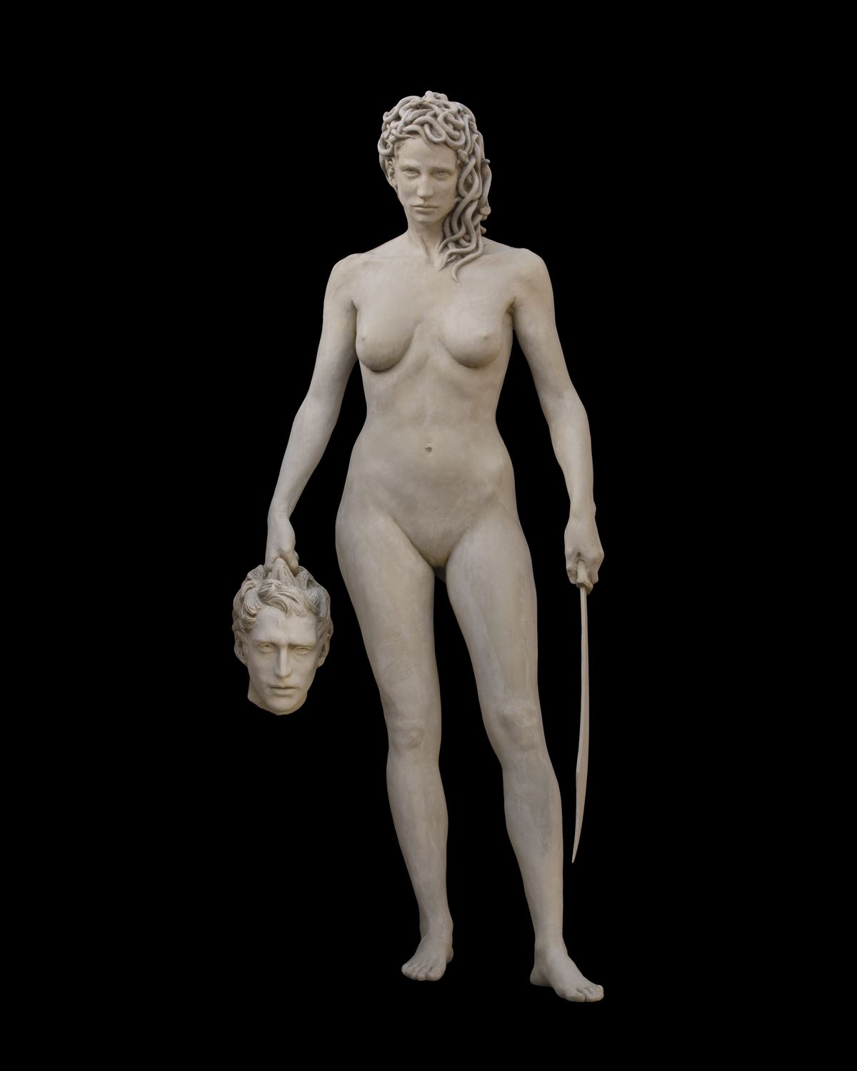 Medusa Blank Meme Template