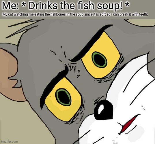 Unsettled Tom Meme | Me: * Drinks the fish soup! *; My cat watching me eating the fishbones in the soup since it is soft so I can break it with teeth: | image tagged in memes,kitty,dinner | made w/ Imgflip meme maker