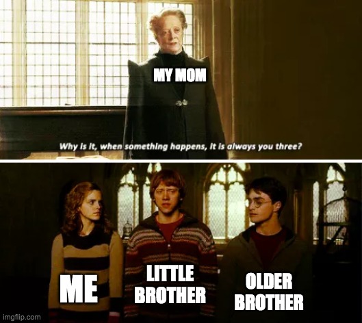 I think maybe relatable hmm | MY MOM; ME; OLDER BROTHER; LITTLE BROTHER | image tagged in always you three | made w/ Imgflip meme maker