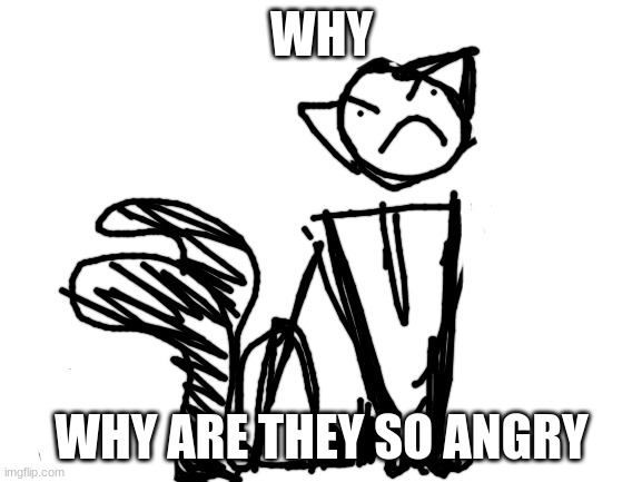 >:( | WHY; WHY ARE THEY SO ANGRY | image tagged in blank white template | made w/ Imgflip meme maker