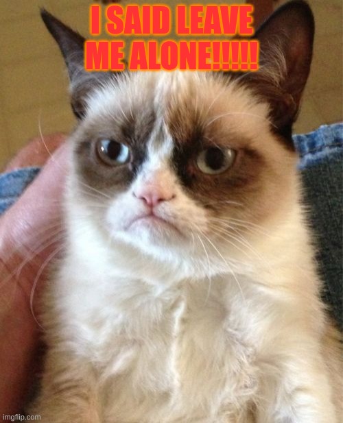 Grumpy Cat | I SAID LEAVE ME ALONE!!!!! | image tagged in memes,grumpy cat | made w/ Imgflip meme maker