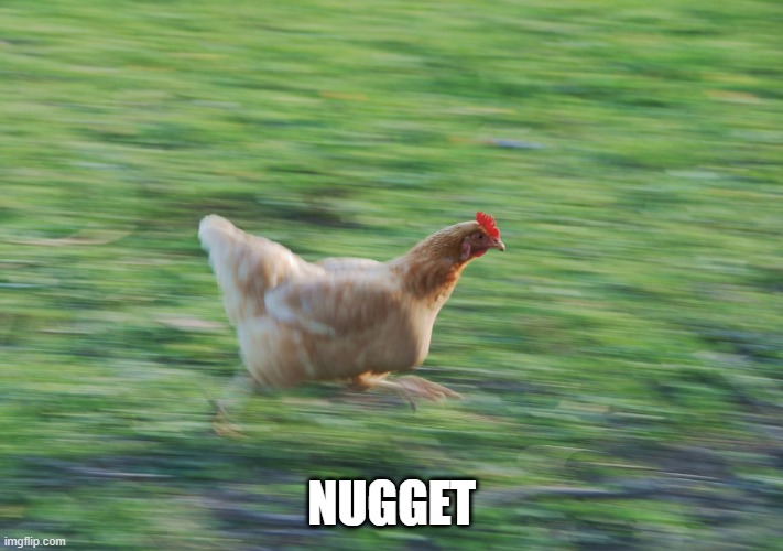 Running Chicken | NUGGET | image tagged in running chicken | made w/ Imgflip meme maker