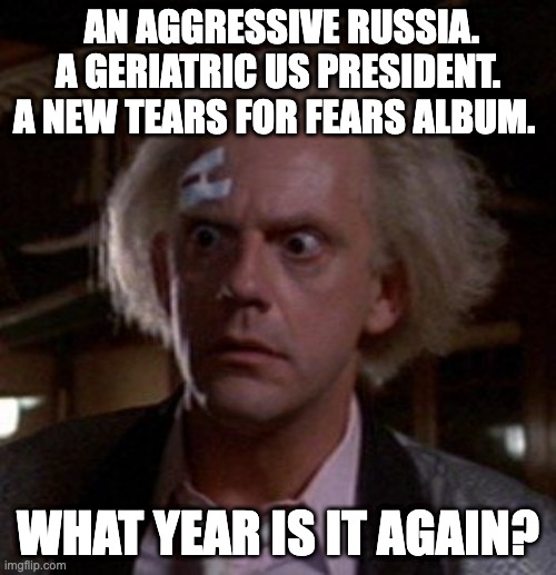 Doc Brown | AN AGGRESSIVE RUSSIA. A GERIATRIC US PRESIDENT. A NEW TEARS FOR FEARS ALBUM. WHAT YEAR IS IT AGAIN? | image tagged in doc brown | made w/ Imgflip meme maker