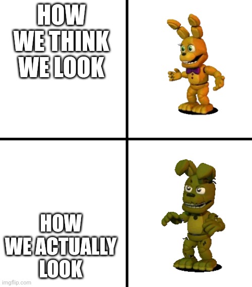 Expectations vs Reality (FNaF World Edit) | HOW WE THINK WE LOOK; HOW WE ACTUALLY LOOK | image tagged in expectations vs reality fnaf world edit | made w/ Imgflip meme maker