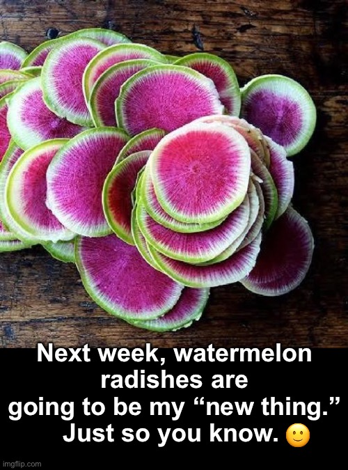 Bored with jicama | Next week, watermelon radishes are going to be my “new thing.”
Just so you know. 🙂 | image tagged in funny memes,my new thing,watermelon radishes are in season | made w/ Imgflip meme maker