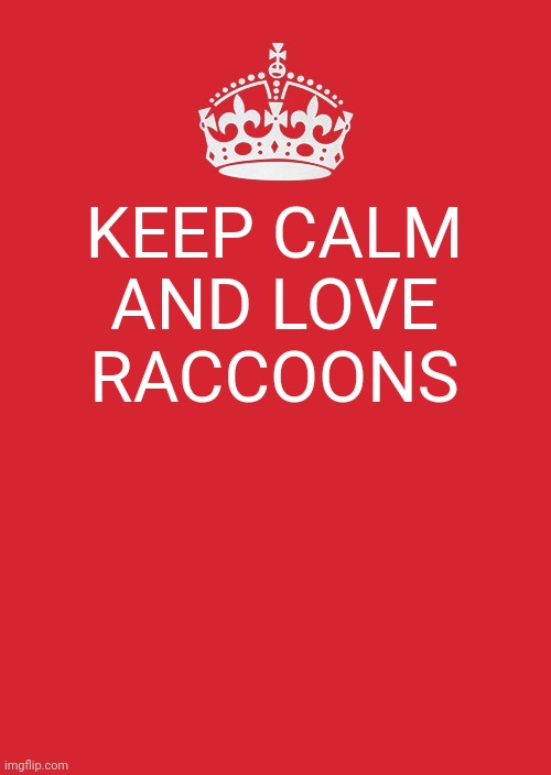 Keep Calm And Carry On Red Meme | KEEP CALM AND LOVE RACCOONS | image tagged in memes,keep calm and carry on red,raccoon | made w/ Imgflip meme maker