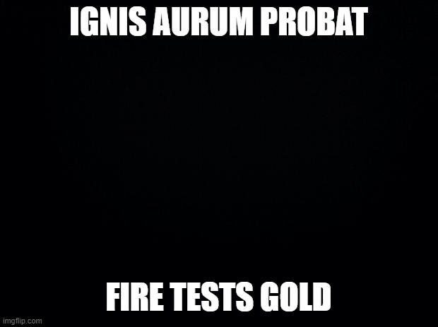 Ignis aurum probat - Fire tests gold | IGNIS AURUM PROBAT; FIRE TESTS GOLD | image tagged in black background,quote,adversity,latin,maxim | made w/ Imgflip meme maker