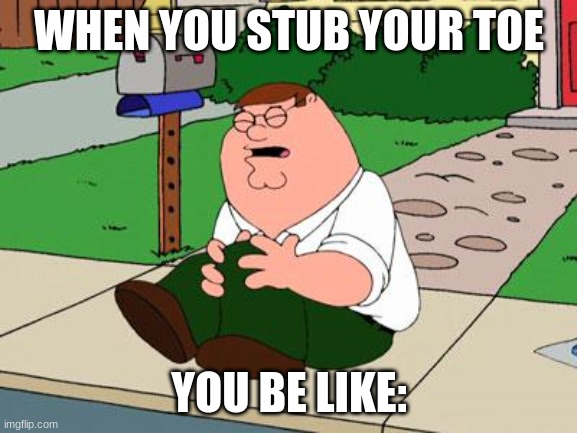 Family Guy Knee | WHEN YOU STUB YOUR TOE; YOU BE LIKE: | image tagged in family guy knee | made w/ Imgflip meme maker