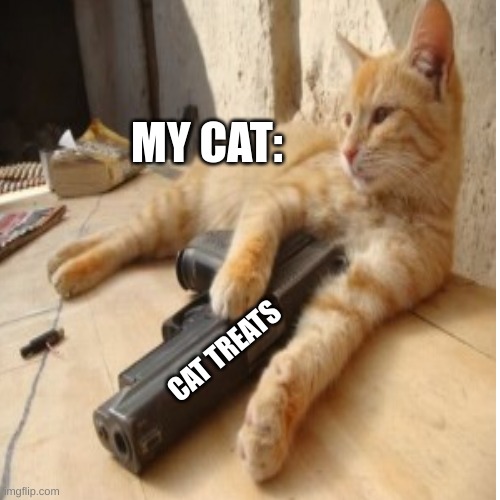 MY CAT:; CAT TREATS | image tagged in fun,funny,cats with guns,garfield | made w/ Imgflip meme maker