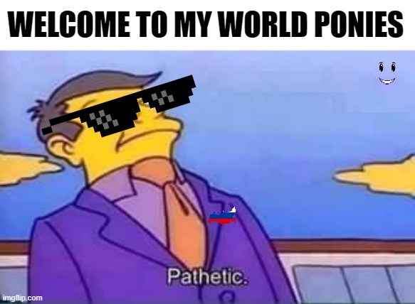 skinner pathetic | WELCOME TO MY WORLD PONIES | image tagged in skinner pathetic | made w/ Imgflip meme maker