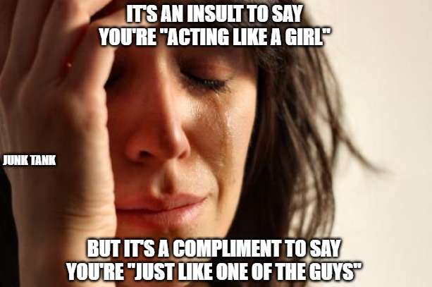 Yep, be kool | IT'S AN INSULT TO SAY YOU'RE "ACTING LIKE A GIRL"; JUNK TANK; BUT IT'S A COMPLIMENT TO SAY YOU'RE "JUST LIKE ONE OF THE GUYS" | image tagged in first world problems,guys,girls,men,women,junk tank | made w/ Imgflip meme maker