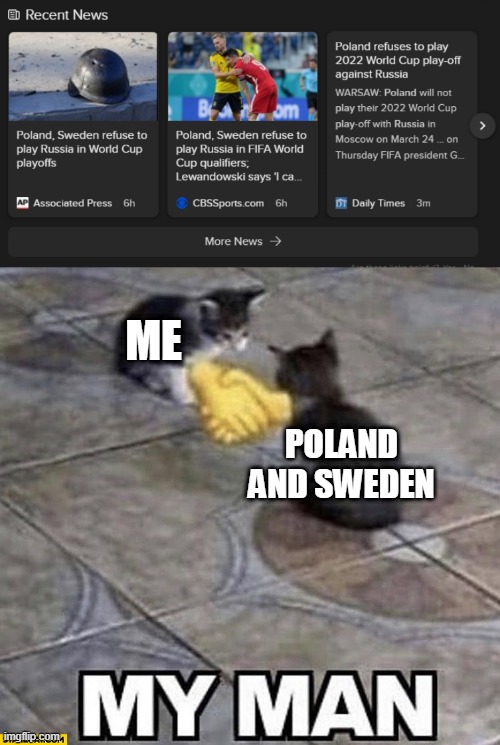 ME; POLAND AND SWEDEN | image tagged in cats shaking hands | made w/ Imgflip meme maker