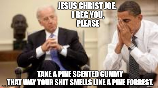 Take a Pine Scented Gummy Bear |  JESUS CHRIST JOE. 
I BEG YOU,
PLEASE; TAKE A PINE SCENTED GUMMY 
THAT WAY YOUR SHIT SMELLS LIKE A PINE FORREST. | image tagged in obama and biden | made w/ Imgflip meme maker